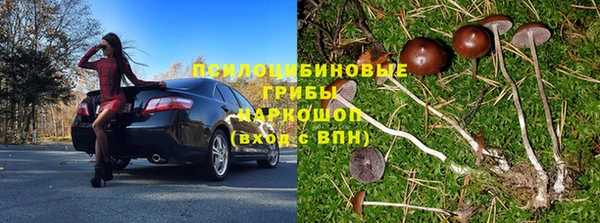 гидропоника Аркадак