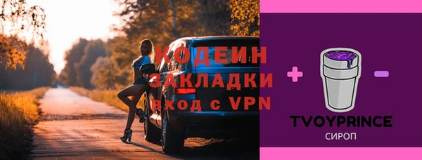 дживик Арсеньев